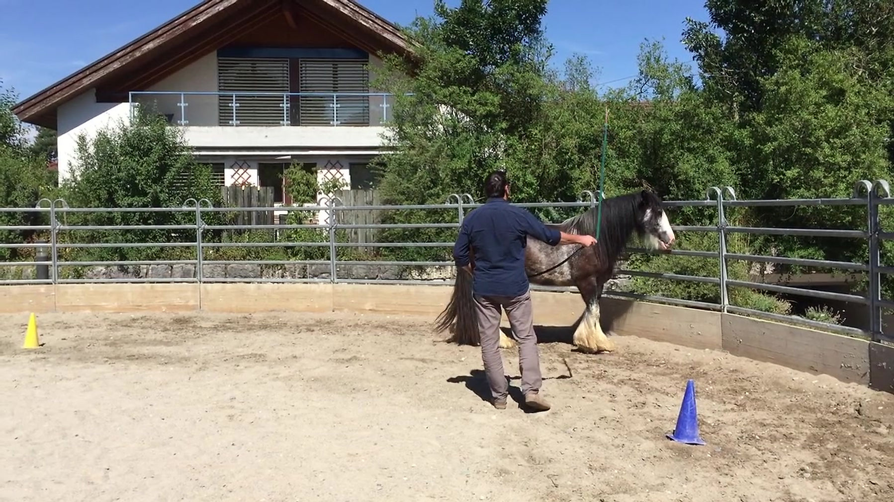 Pferdegestütztes Coaching und Persönlichkeitstraining